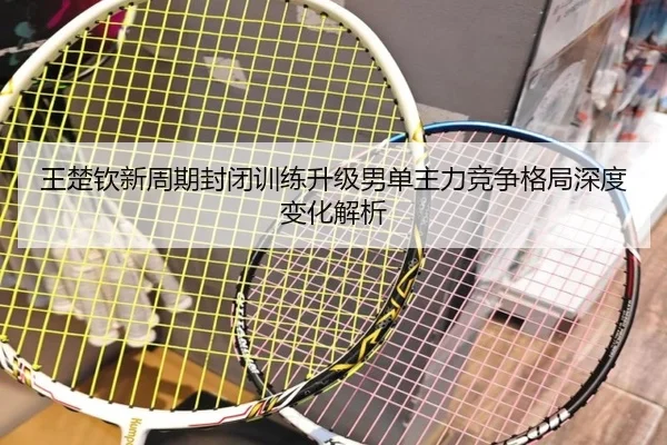 王楚钦新周期封闭训练升级男单主力竞争格局深度变化解析